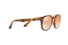 Lunettes de soleil Ray-Ban RB 2183 (1127B9)