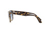 Sunglasses Ray-Ban Wayfarer ii RB 2185 (13323F)