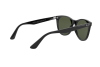 Lunettes de soleil Ray-Ban Wayfarer II RB 2185 (901/31)