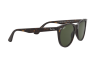 Sunglasses Ray-Ban Wayfarer II RB 2185 (902/31)