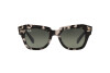 Occhiali da Sole Ray-Ban State Street RB 2186 (133371)