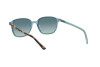 Occhiali da Sole Ray-Ban Leonard RB 2193 (13163M)