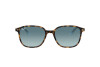 Occhiali da Sole Ray-Ban Leonard RB 2193 (13163M)