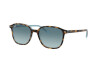 Occhiali da Sole Ray-Ban Leonard RB 2193 (13163M)