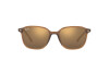 Occhiali da Sole Ray-Ban Leonard RB 2193 (663693)