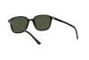 Occhiali da Sole Ray-Ban Leonard RB 2193 (901/31)