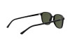 Occhiali da Sole Ray-Ban Leonard RB 2193 (901/31)