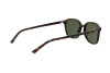 Sunglasses Ray-Ban Leonard RB 2193 (902/31)
