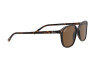 Солнцезащитные очки Ray-Ban Leonard RB 2193 (902/57)