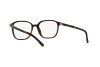 Солнцезащитные очки Ray-Ban Leonard RB 2193 (902/GH)