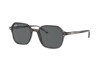 Sonnenbrille Ray-Ban John Color Mix RB 2194 (1314B1)