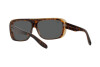 Sunglasses Ray-Ban Blair RB 2196 (1292B1)