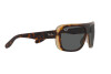 Sunglasses Ray-Ban Blair RB 2196 (1292B1)