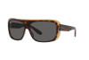 Sunglasses Ray-Ban Blair RB 2196 (1292B1)