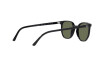 Солнцезащитные очки Ray-Ban Elliot RB 2197 (901/31)