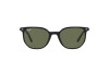 Солнцезащитные очки Ray-Ban Elliot RB 2197 (901/31)