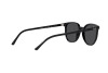 Солнцезащитные очки Ray-Ban Elliot RB 2197 (901/48)