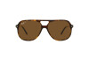 Sonnenbrille Ray-Ban Bill RB 2198 (902/57)