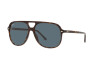 Lunettes de soleil Ray-Ban Bill RB 2198 (902/R5)