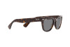 Lunettes de soleil Ray-Ban Laramie RB 2201 (902/B1)