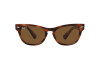 Солнцезащитные очки Ray-Ban Laramie RB 2201 (954/57)
