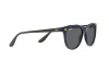 Occhiali da Sole Ray-Ban Scuderia Ferrari Collection RB 2202M (F668B1)