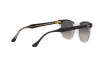 Солнцезащитные очки Ray-Ban Hawkeye RB 2298 (1294M3)