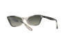 Солнцезащитные очки Ray-Ban Lady burbank RB 2299 (134071)
