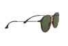 Sonnenbrille Ray-Ban Round Fleck RB 2447 (1157)