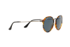 Солнцезащитные очки Ray-Ban Round Fleck RB 2447 (1158R5)