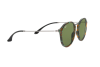 Sunglasses Ray-Ban Round Fleck RB 2447 (11594E)