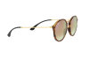 Lunettes de soleil Ray-Ban Round Fleck RB 2447 (11607O)