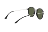 Sunglasses Ray-Ban Round Fleck RB 2447 (901)