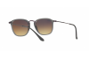 Sonnenbrille Ray-Ban RB 2448N (62554O)