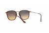Sunglasses Ray-Ban RB 2448N (62569U)