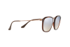 Sunglasses Ray-Ban RB 2448N (62569U)