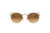 Occhiali da Sole Ray-Ban Round metal RB 3447 (112/51)