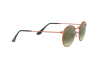 Sonnenbrille Ray-Ban RB 3447 Round Metal (9002A6)