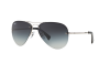 Lunettes de soleil Ray-Ban RB 3449 (003/8G)