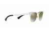 Occhiali da Sole Ray-Ban Clubmaster aluminum RB 3507 (137/9J)