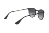 Sunglasses Ray-Ban Erika Metal Rb 3539 (002/8G)