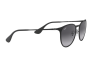 Sunglasses Ray-Ban Erika Metal Rb 3539 (002/8G)