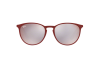 Sunglasses Ray-Ban Erika metal RB 3539 (9023B5)