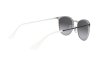 Occhiali da Sole Ray-Ban Erika Metal Rb 3539 (90788G)