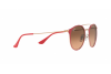 Солнцезащитные очки Ray-Ban RB 3546 (907271)
