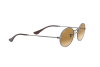 Sunglasses Ray-Ban Oval Flat Lenses RB 3547N (004/51)