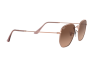 Sunglasses Ray-Ban Hexagonal RB 3548N (9069A5)