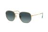 Sonnenbrille Ray-Ban Hexagonal RB 3548N (91233M)