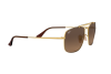 Sunglasses Ray-Ban The colonel RB 3560 (910443)