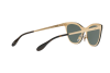 Occhiali da Sole Ray-Ban Blaze cat eye RB 3580N (043/71)